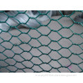 Hexagonal Mesh